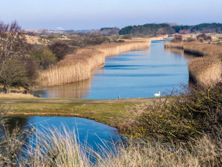 Dünenlandschaft mit Kanal