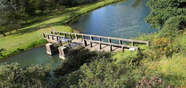 Kleine Brücke in den Dünen